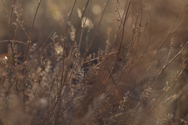 Similar image 22318465