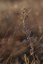 Similar image 22318466