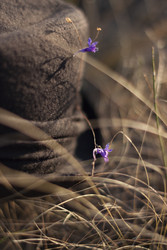 Similar image 22318467