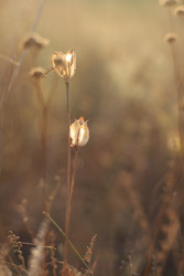 Similar image 22318469