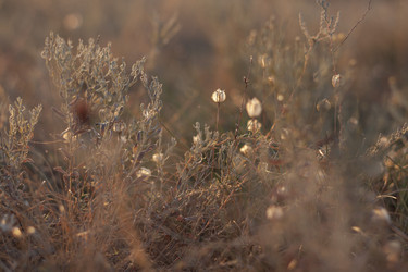 Similar image 22318470