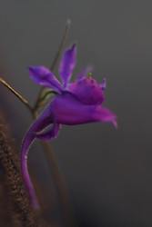 Similar image 22316693