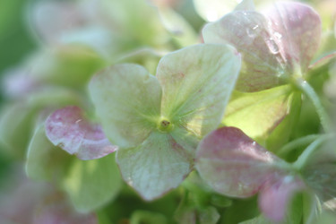 Similar image 22318471