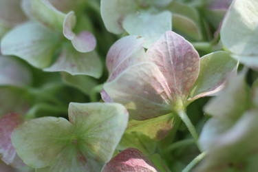 Similar image 22317318