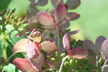 Similar image 22317319