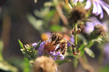 Similar image 22316694