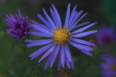 Similar image 22317320