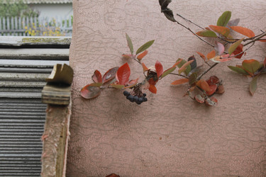 Similar image 22316695