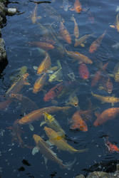 Similar image 22317321