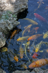 Similar image 22317322