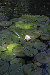 Similar image 22317323