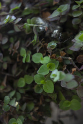 Similar image 22317324