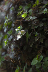 Similar image 22317325