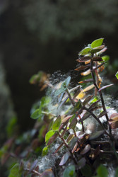 Similar image 22317326