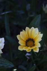 Similar image 22317327