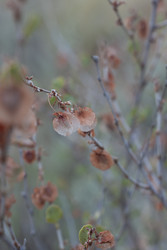 Similar image 22316697