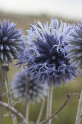 Similar image 22317328