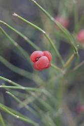 Similar image 22316698