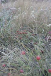 Similar image 22317329