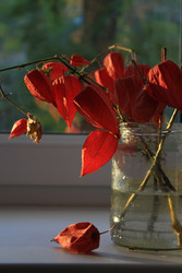 Similar image 22316699