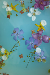 Similar image 22317330