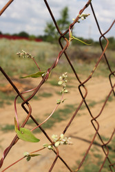 Similar image 22316700