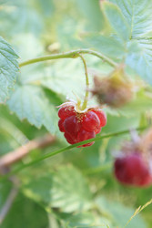 Similar image 22316701