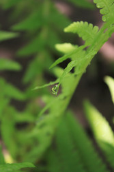 Similar image 22317331