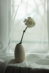 Similar image 22316407