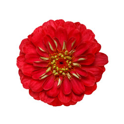 Similar image 22316408