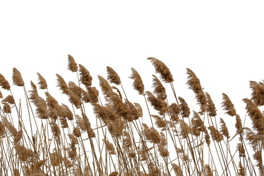 Similar image 22316414