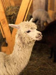 Similar image 22326899