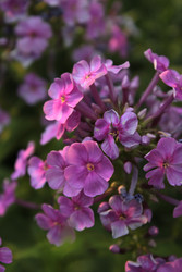 Similar image 22317332