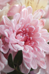 Similar image 22317333