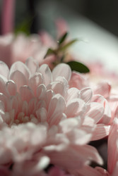 Similar image 22317334