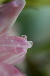 Similar image 22317335