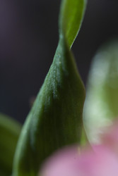 Similar image 22317336