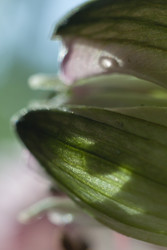 Similar image 22317337