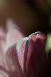 Similar image 22316702