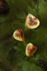 Similar image 22317338