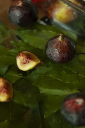 Similar image 22316084