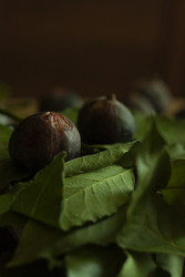 Similar image 22316085