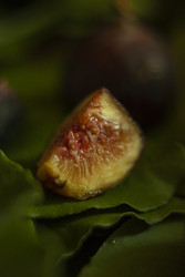 Similar image 22316086