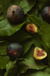 Similar image 22316087