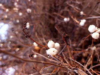 Similar image 22316089