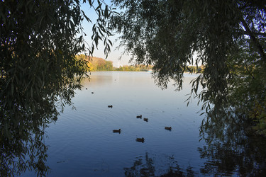 Similar image 22315067