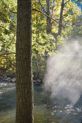 Similar image 22315070