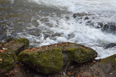 Similar image 22315074