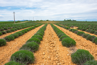 Similar image 22318947