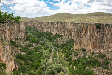 Similar image 22319201